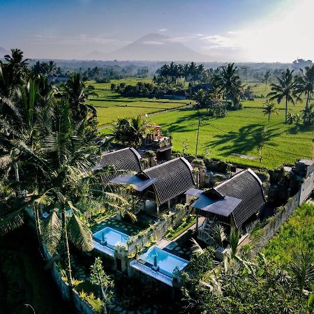 Villa Alvia Joglo House & Private Pool à Tampaksiring Extérieur photo